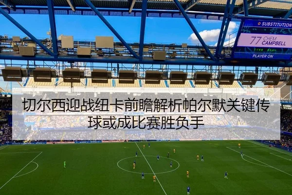 切尔西迎战纽卡前瞻解析帕尔默关键传球或成比赛胜负手